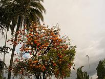 20060302200949-universo-ajenob.jpg